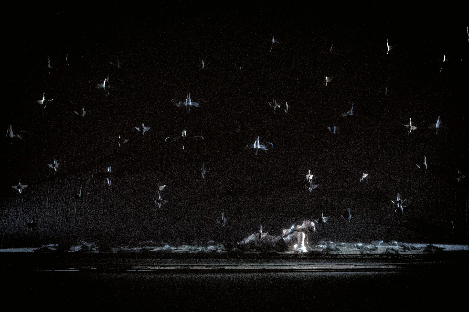 Brochure del progetto