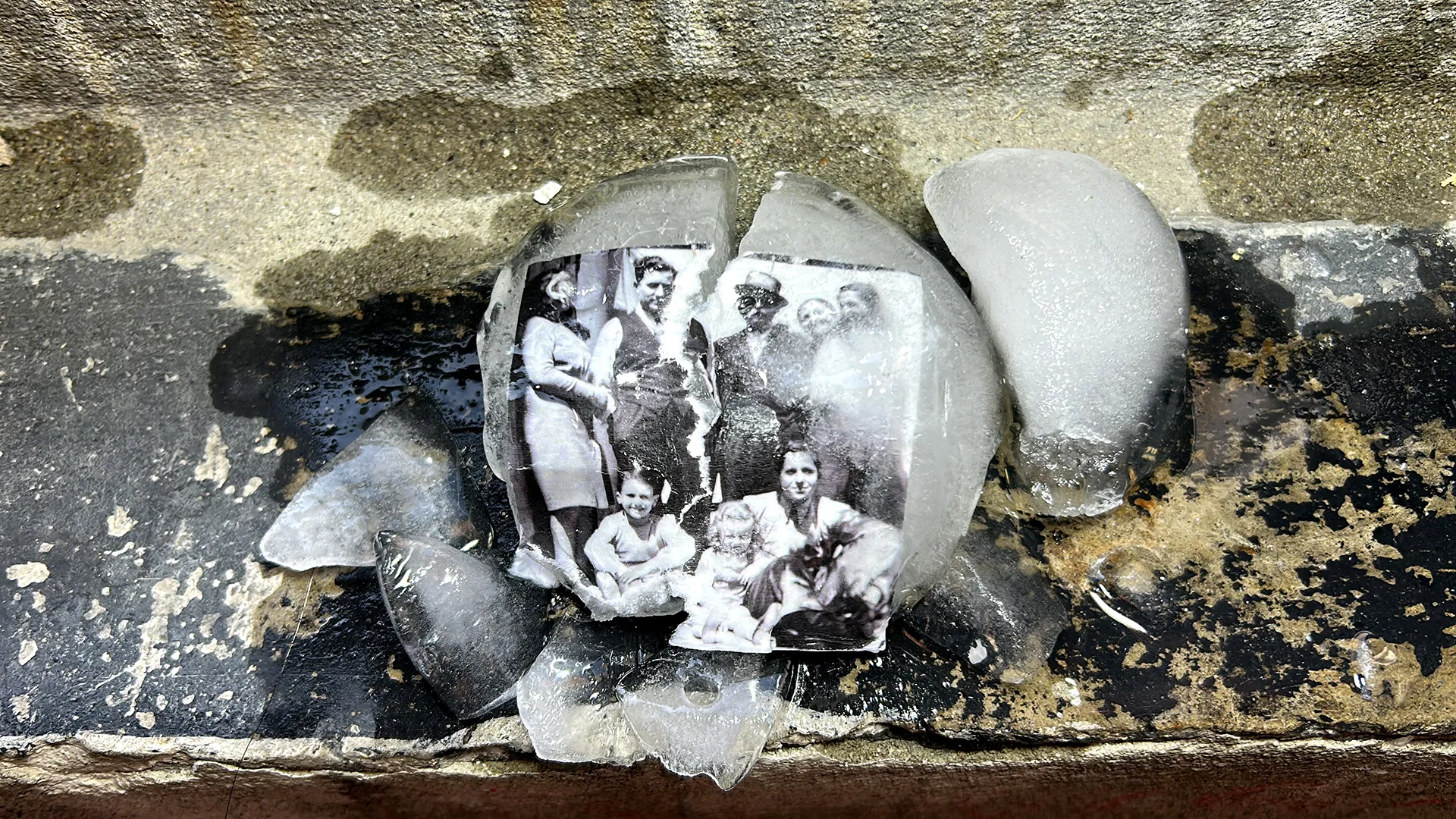 Immagine illustrativa