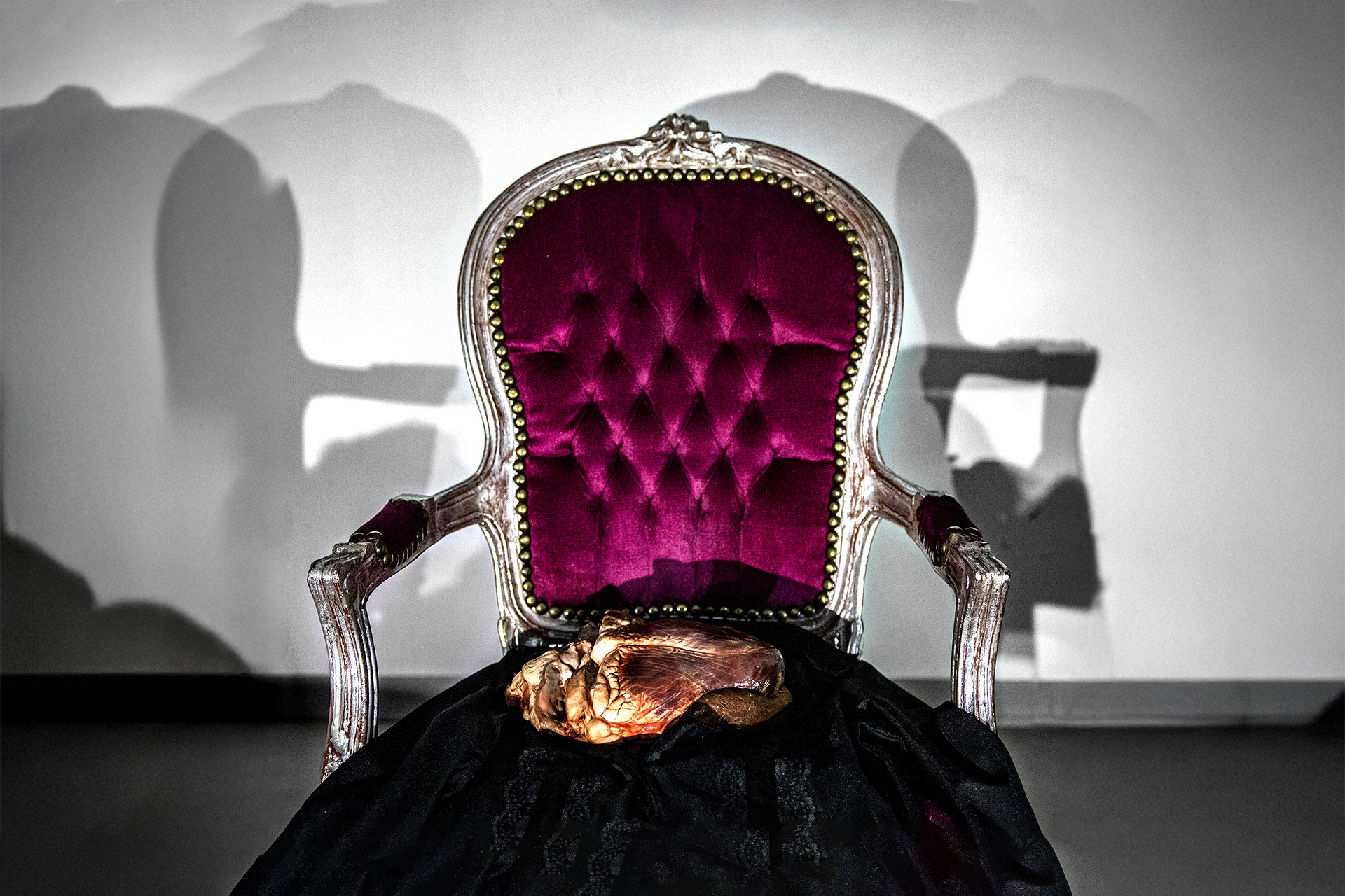 Immagine rappresentativa della sezione del sito