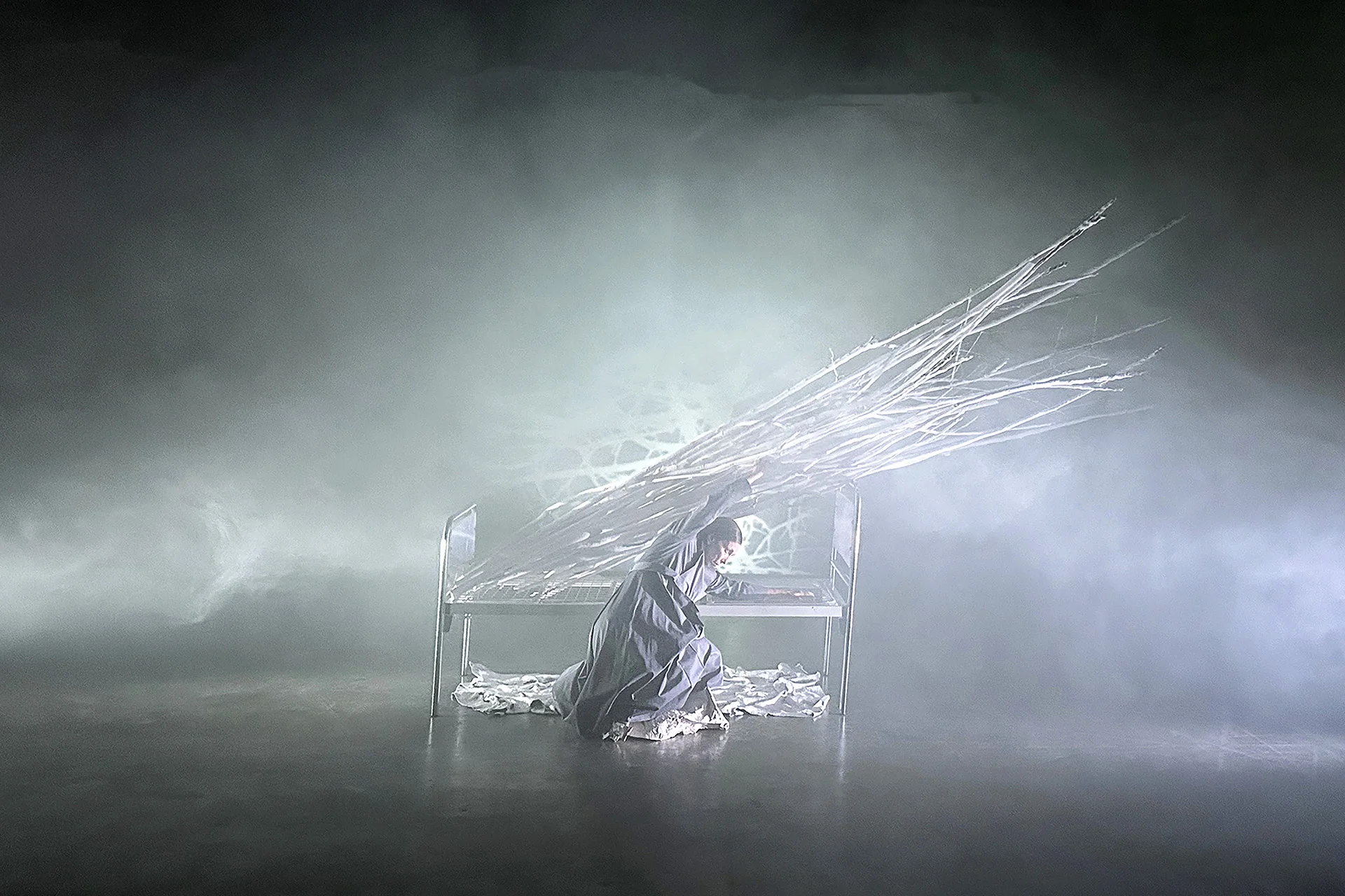 Immagine Haiku_Dove prima era