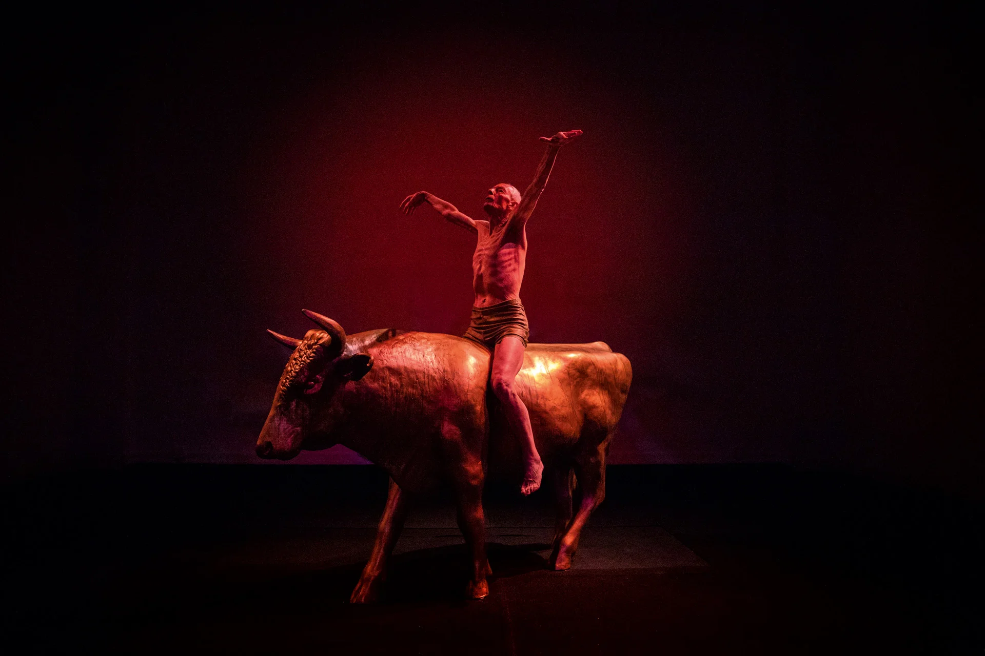 Immagine rappresentativa della sezione del sito