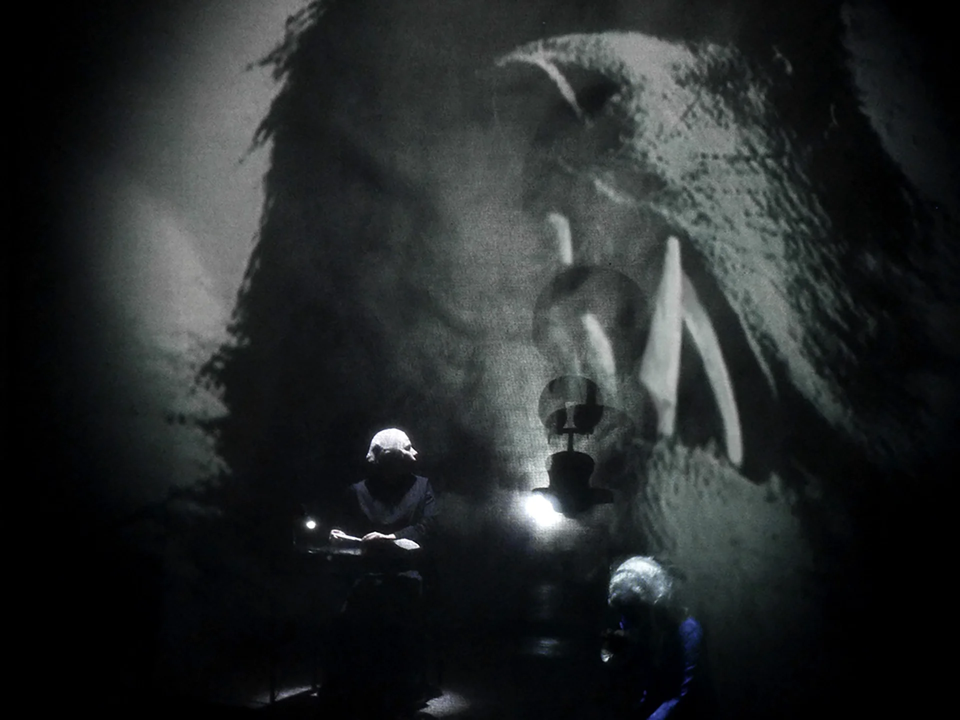 Immagine La Creazione