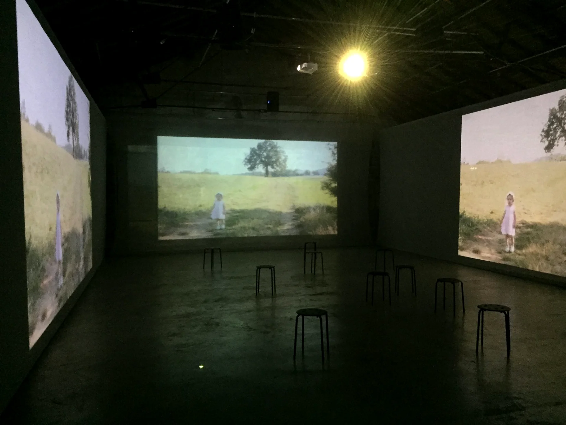 Immagine rappresentativa della sezione del sito