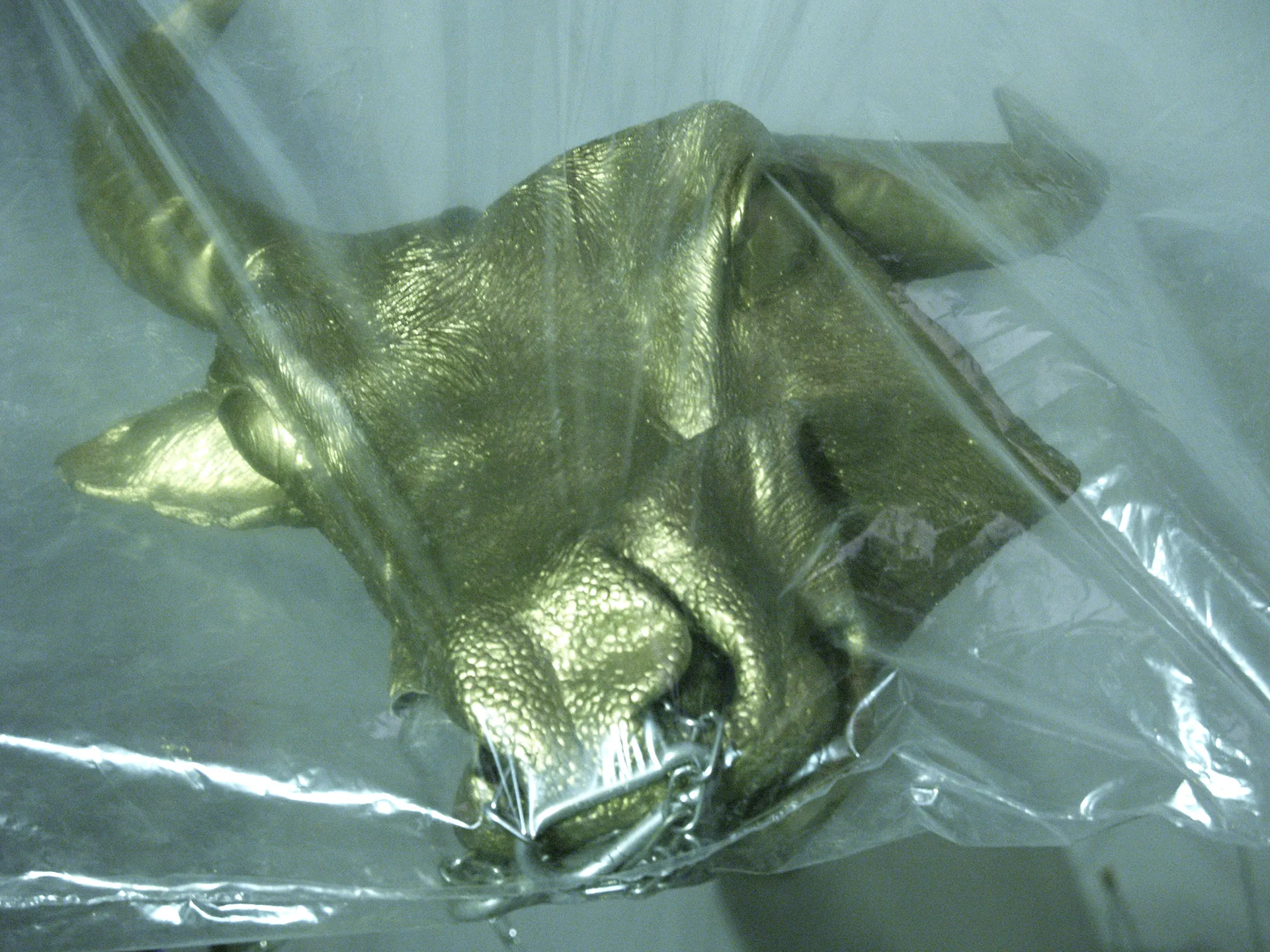 Immagine Body of evidence