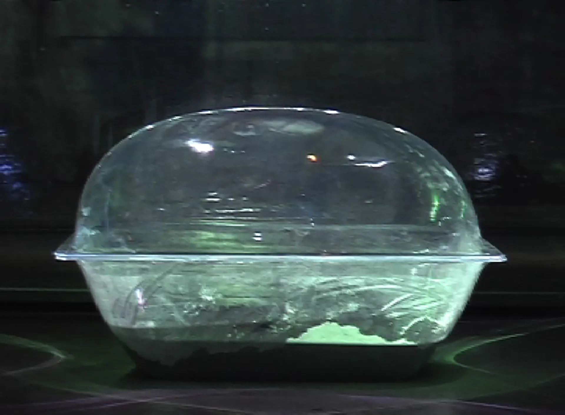 Immagine Phoenix Death_Birth