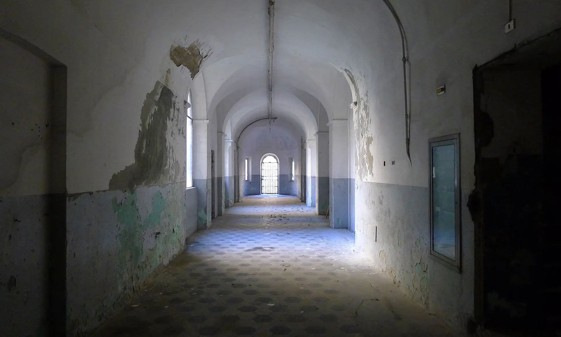 Representative image of the website section