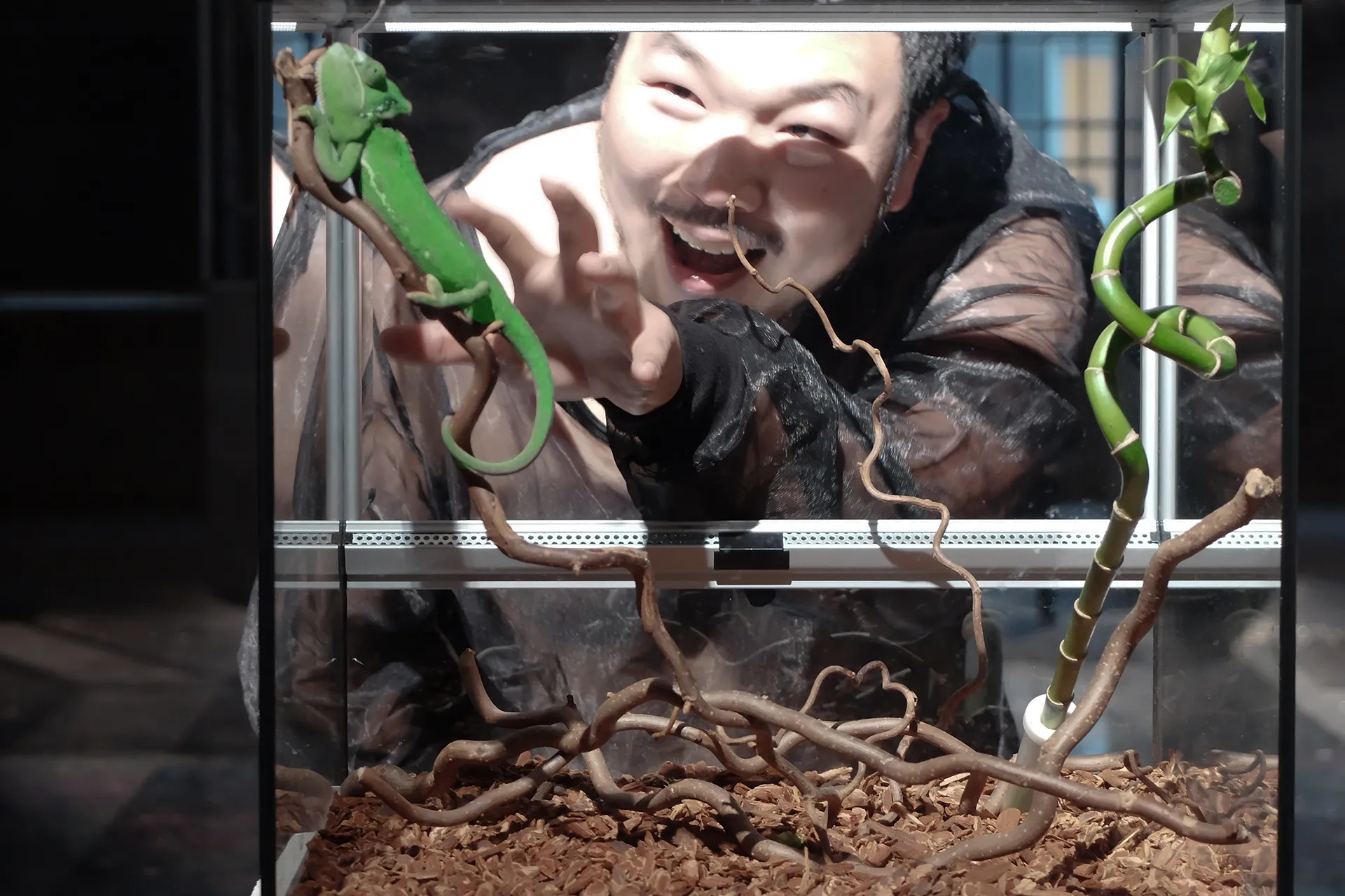 Immagine Verdi Macbeth