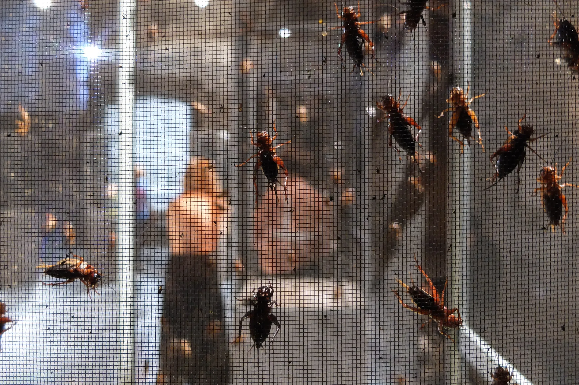 Immagine rappresentativa della sezione del sito