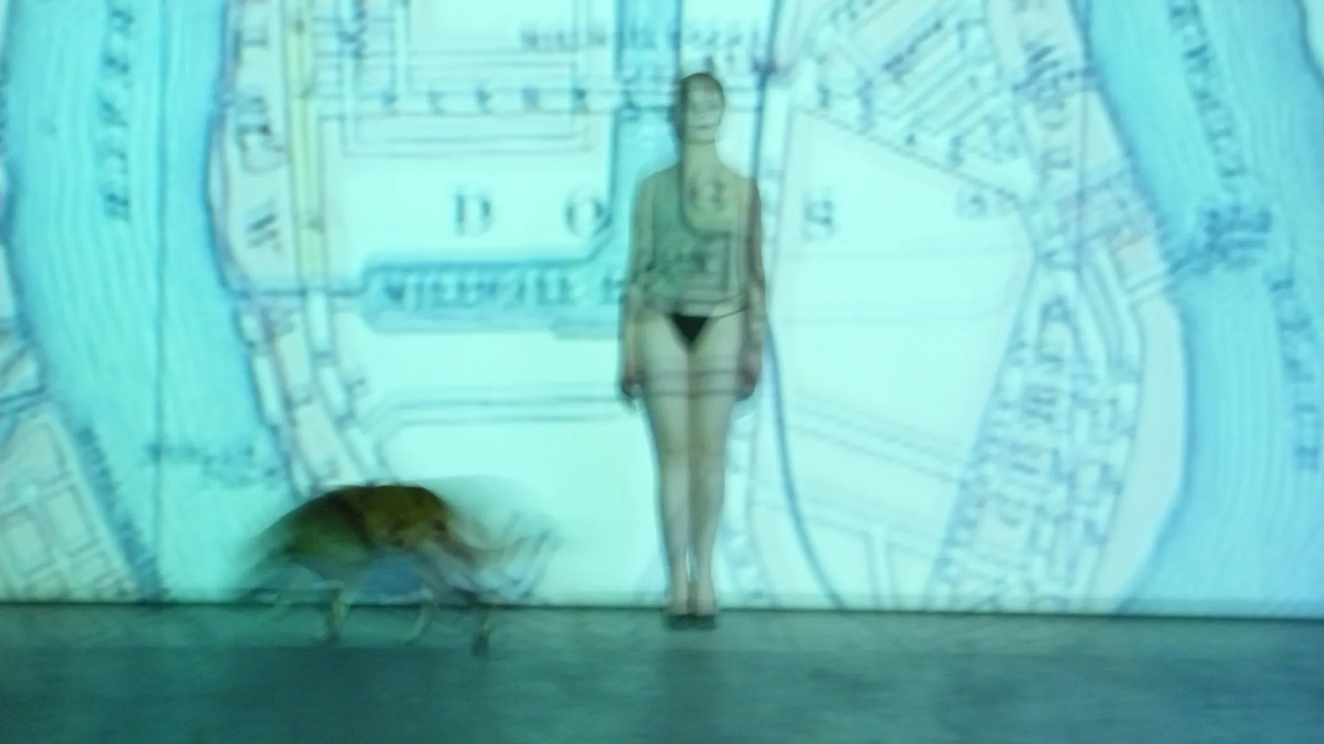 Immagine rappresentativa della sezione del sito