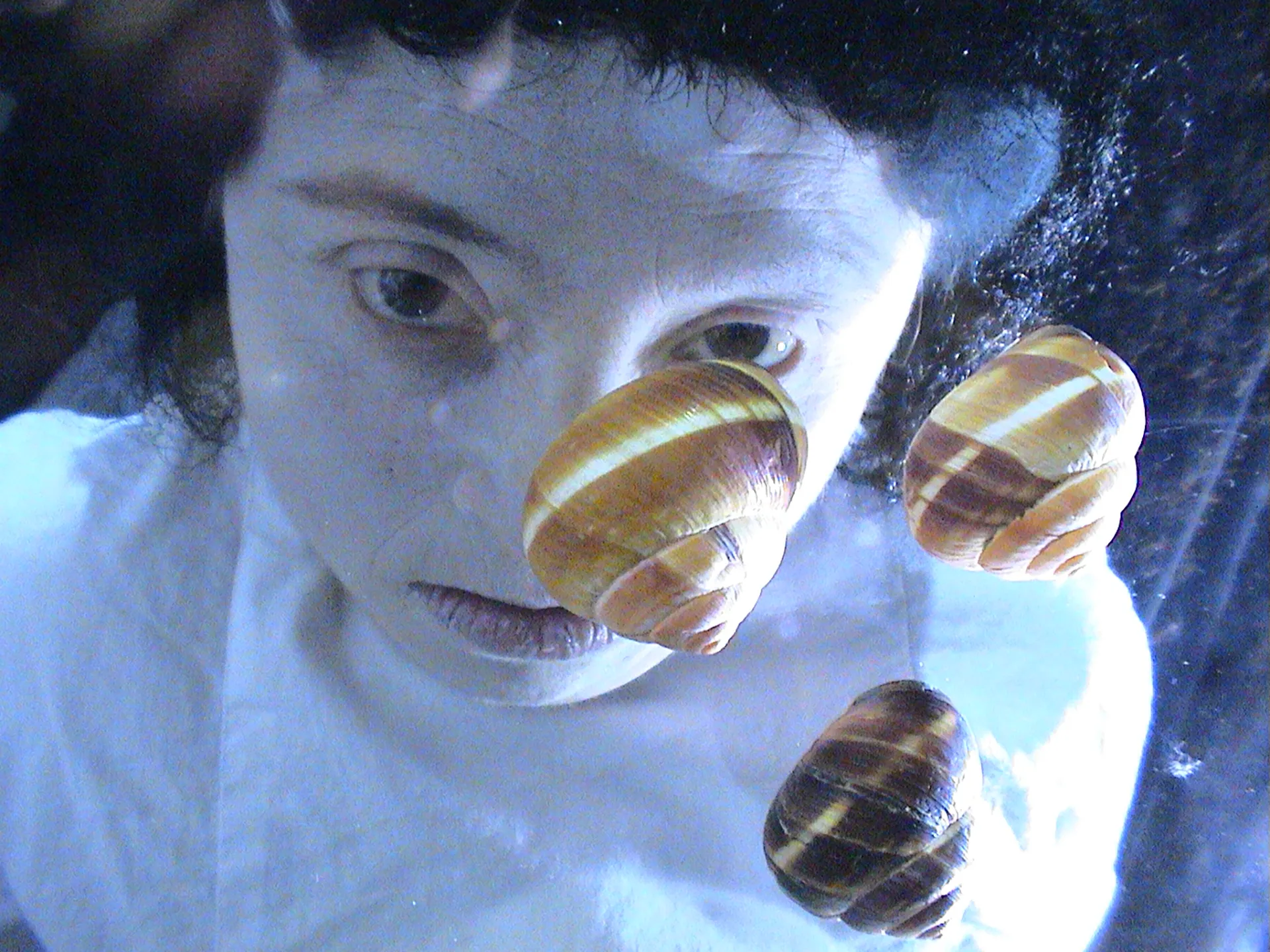 Immagine rappresentativa della sezione del sito