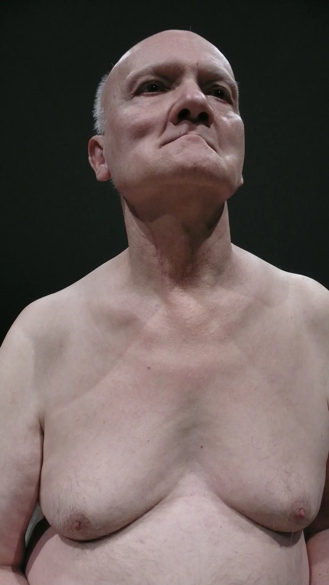 Immagine Aeneis #2 Mi Sottopongo al Peso