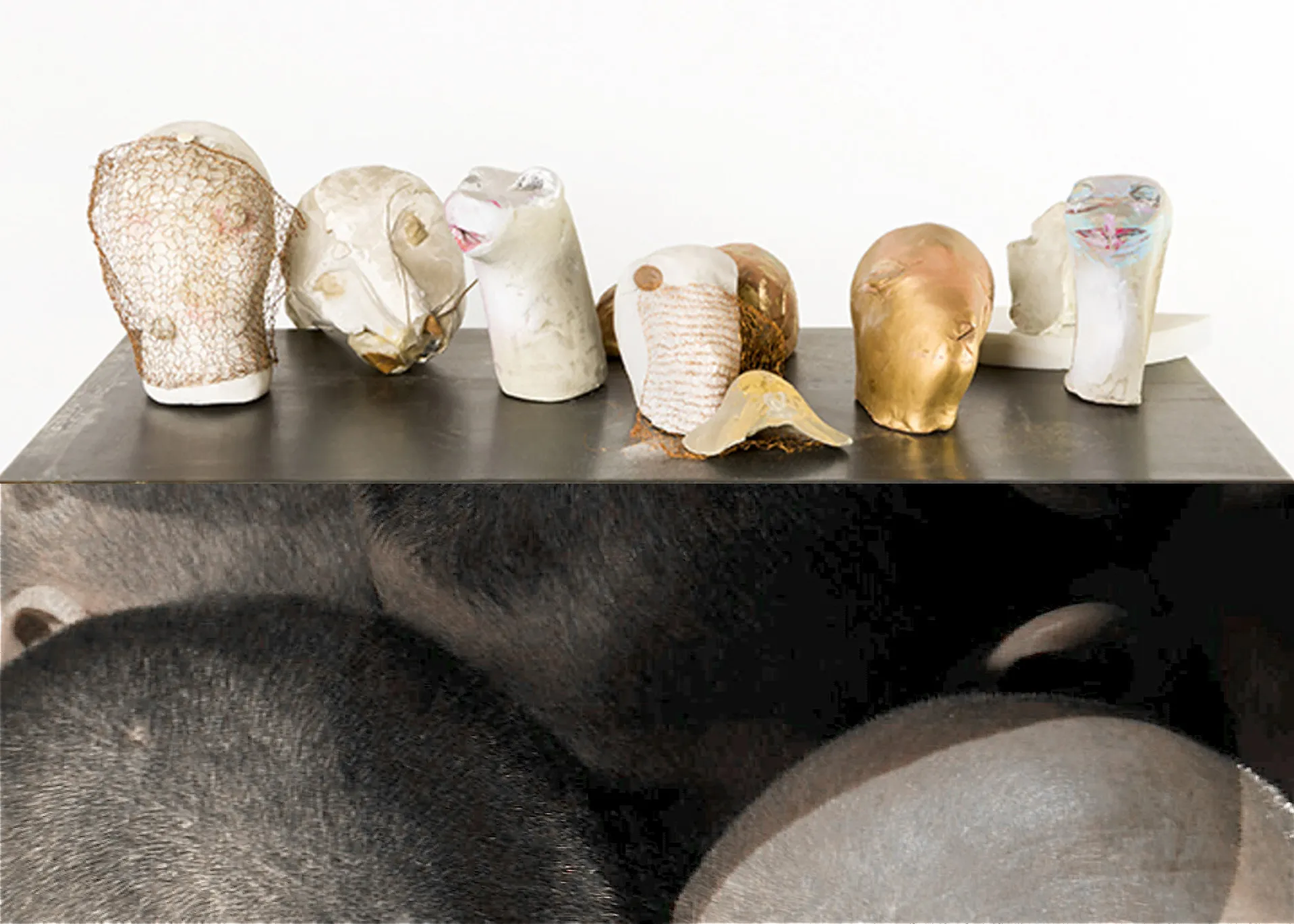 Immagine rappresentativa della sezione del sito