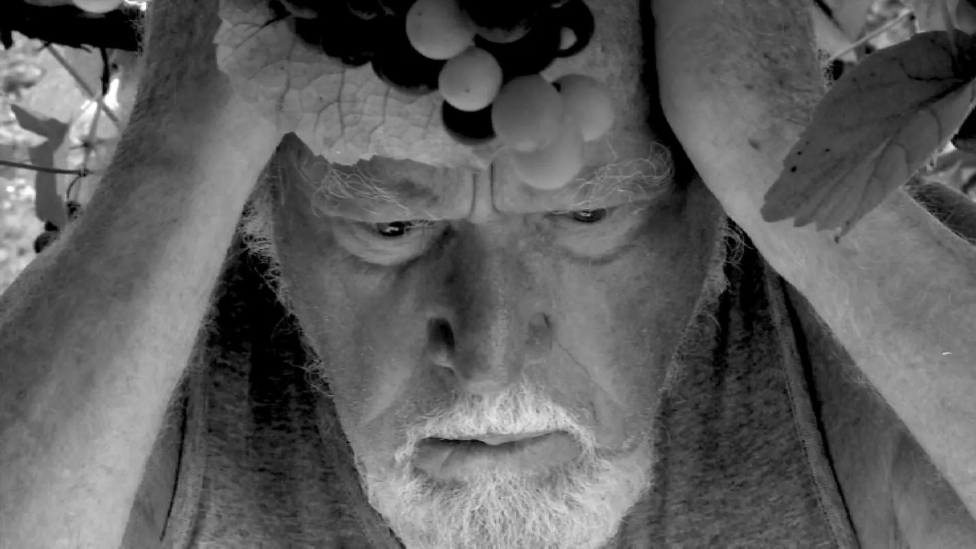 Immagine Aeneis #3 Il Polmone