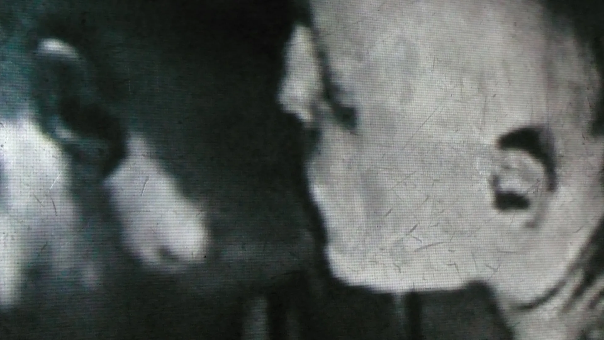 Immagine rappresentativa della sezione del sito