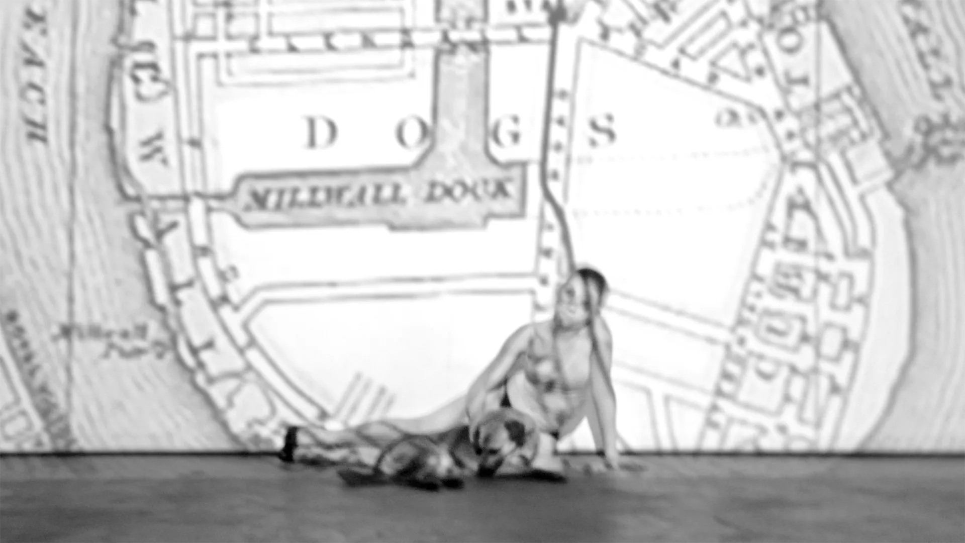 Immagine rappresentativa della sezione del sito