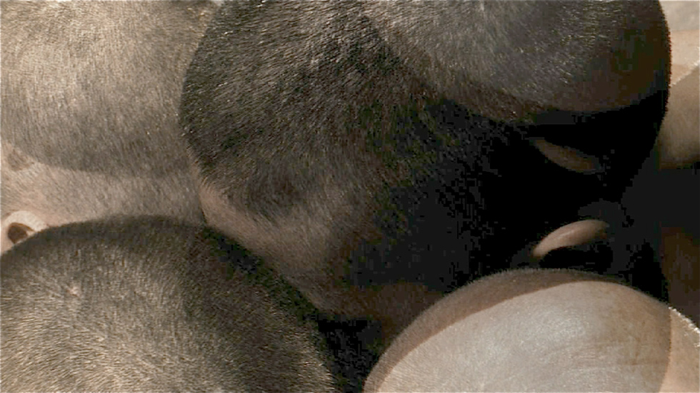 Immagine rappresentativa della sezione del sito