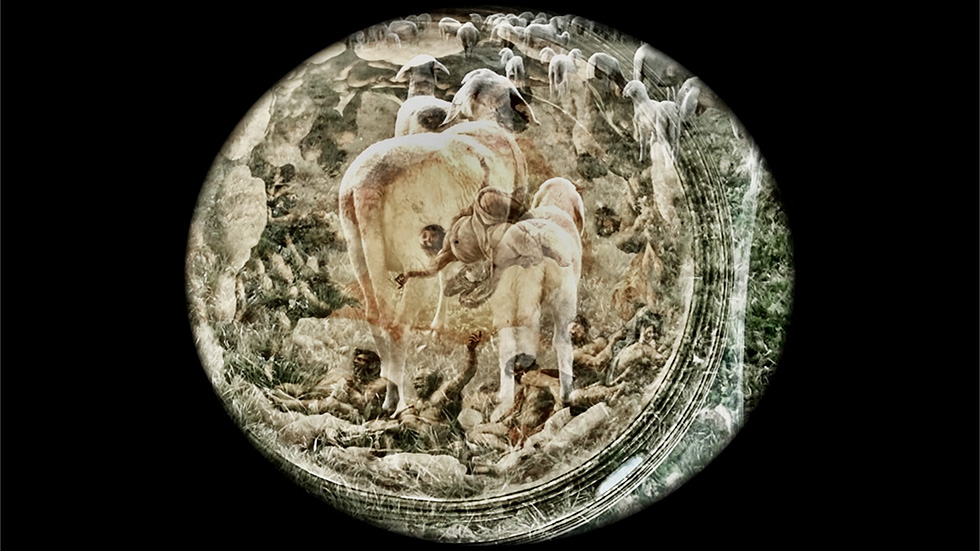 Immagine rappresentativa della sezione del sito